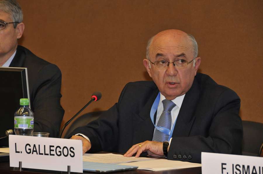 Ambassador Luis Gallegos addressing a panel